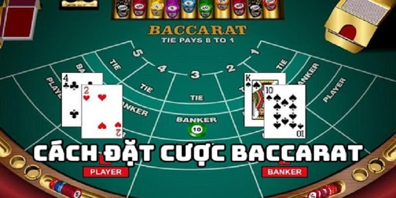 Hướng dẫn cách tham gia game bài Baccarat cơ bản bạn cần nắm